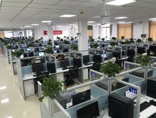 遵義軟件園 以服務外包為基礎，三位一體促進第三產業發展