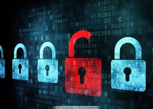 數智融合新生態 網絡安全筑基，智慧養老拓界，產業集聚賦能